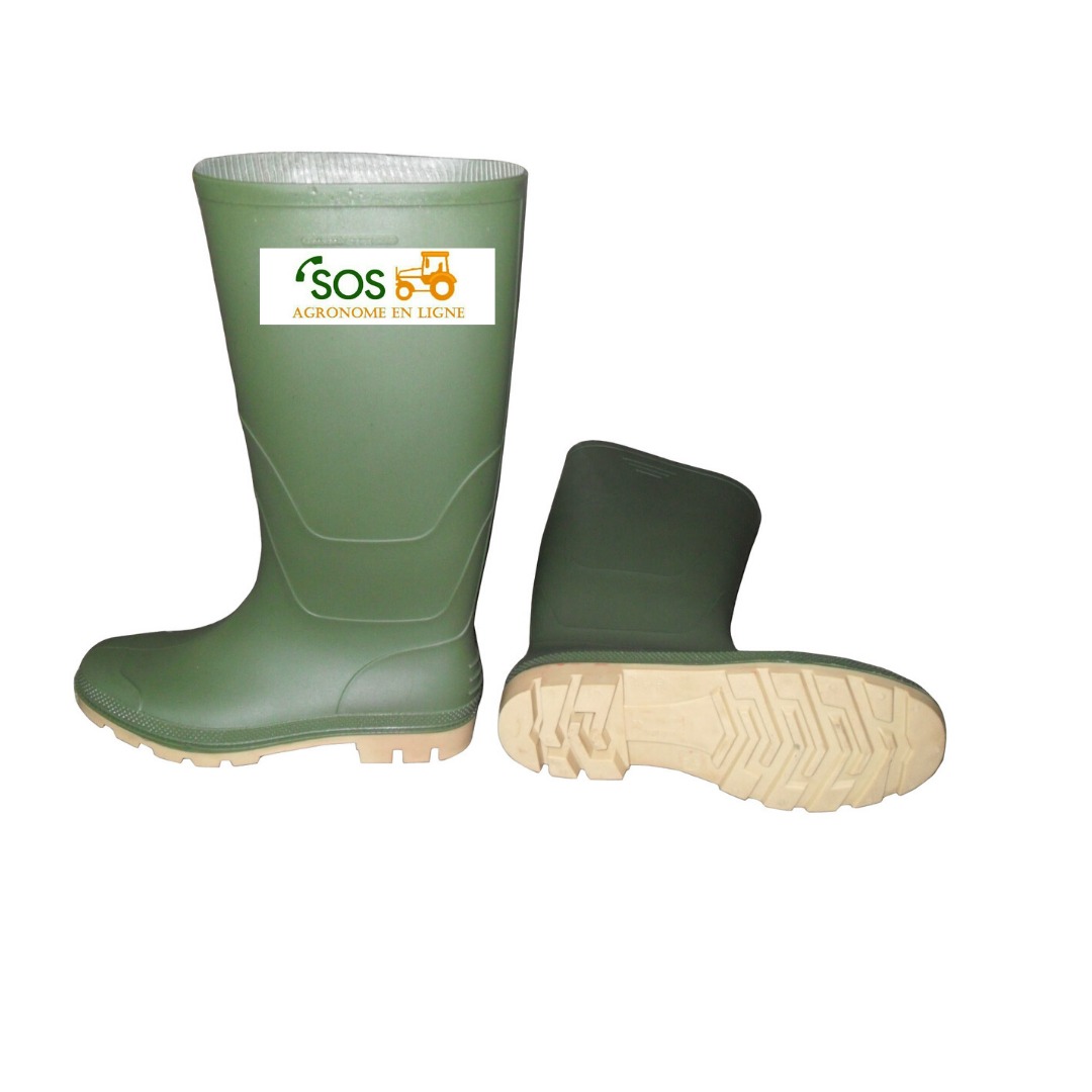  bottes.jpeg