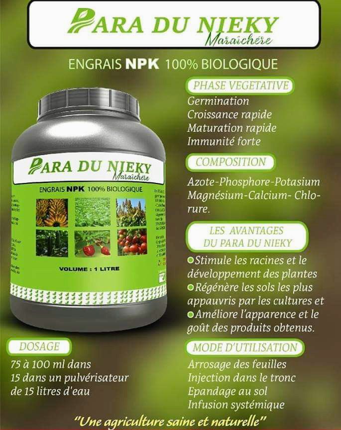  intrant-16.jpg